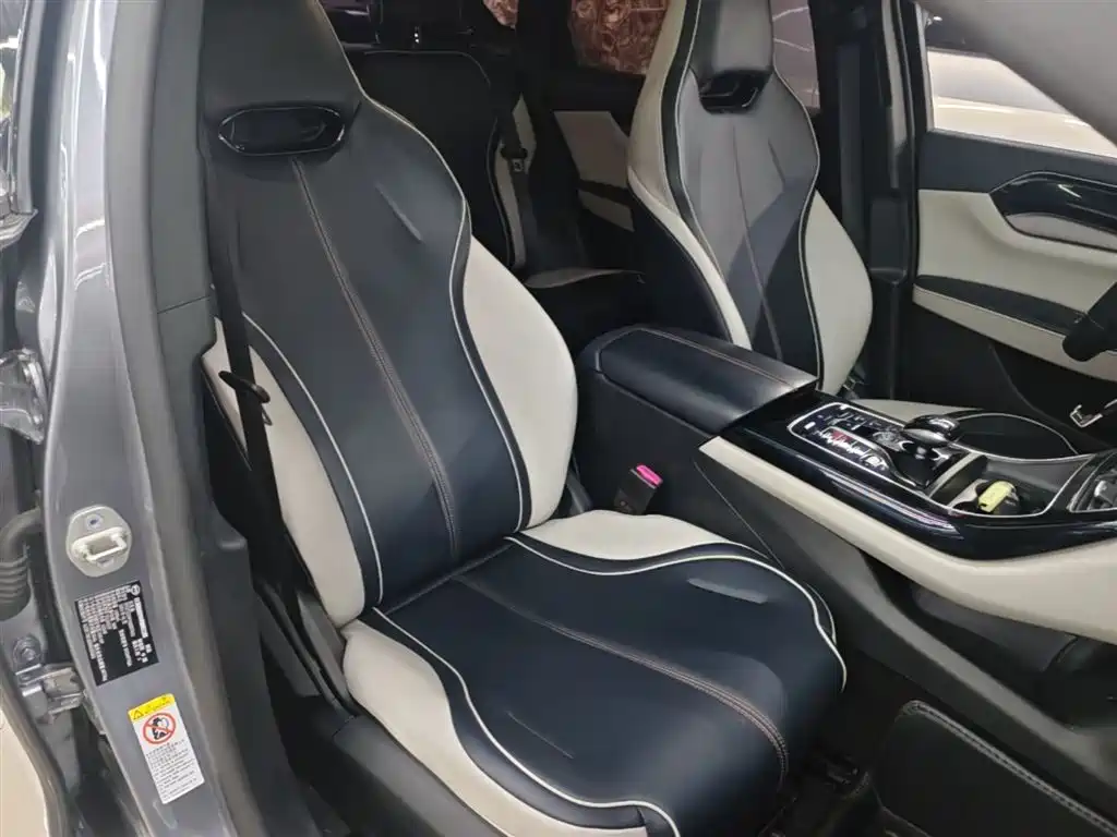 BYD Qin PLUS 2021 DM-i 55KM Flagship фото 25