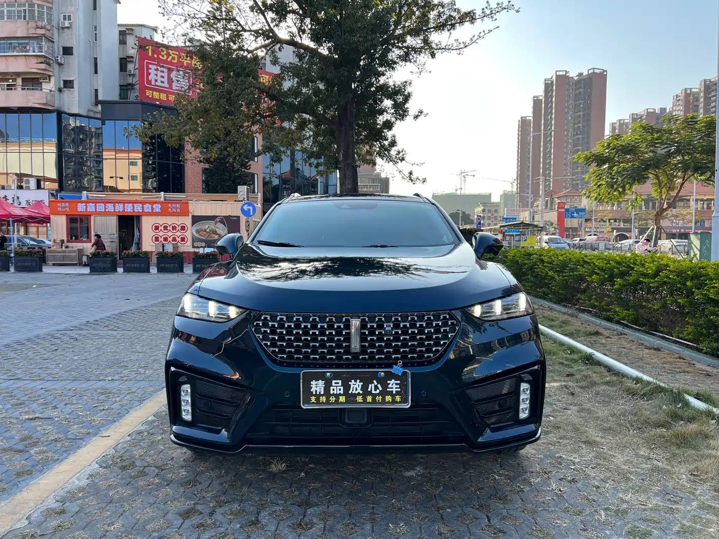 WEI PAI WEI BRAND VV7