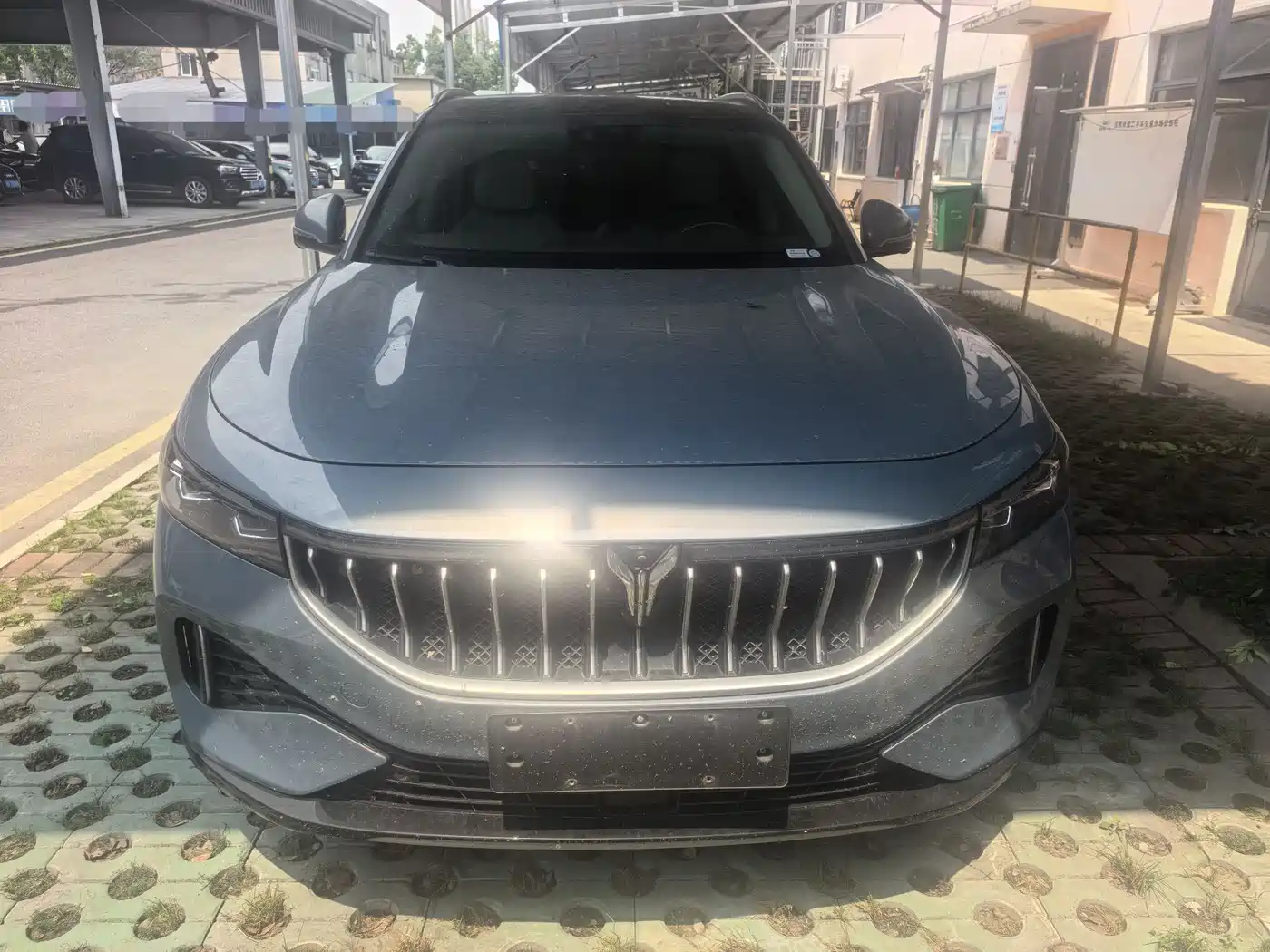 Voyah Auto VOYAH FREE 2021 AWD Standard Range Extender Exclusive Luxury Package фото 2