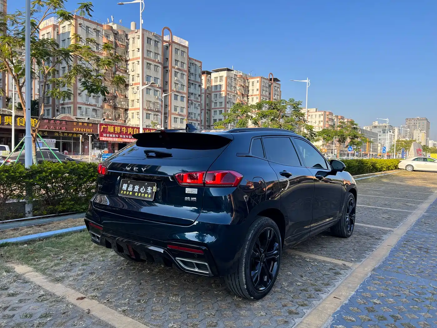 WEI PAI WEI BRAND VV7