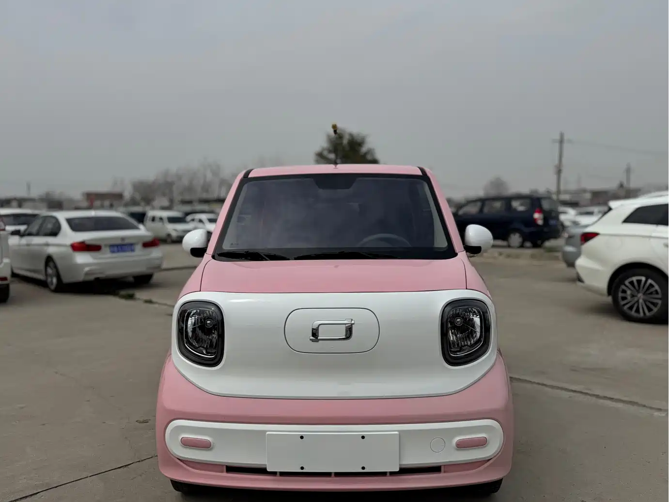 BESTUNE PENTIUM PONY