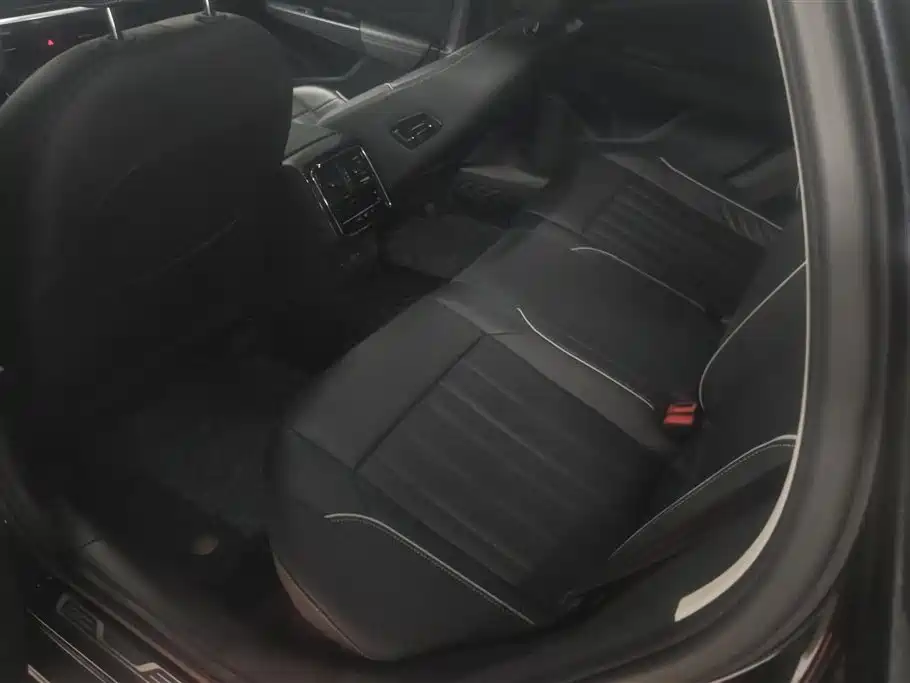 Volkswagen Passat 2023 330TSI Starlight Elite Edition фото 11