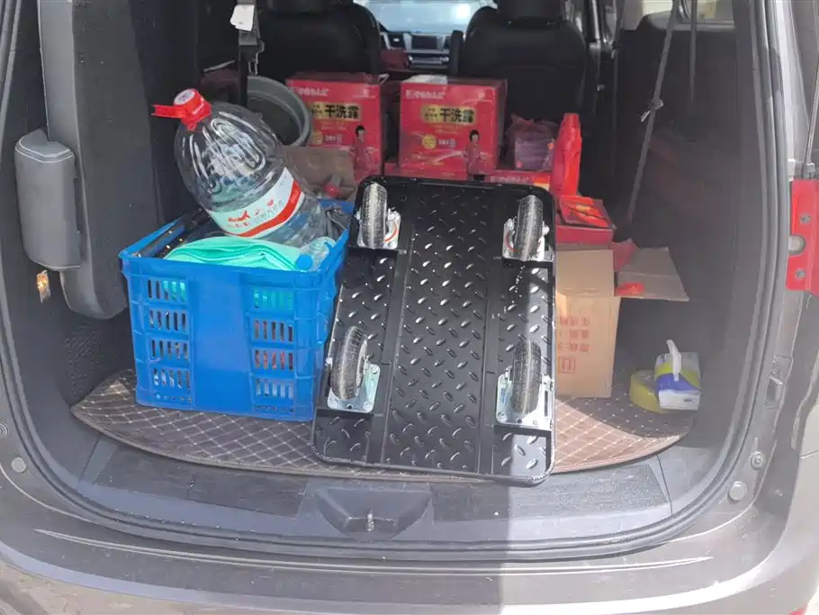 SAIC MAXUS CHASE G10