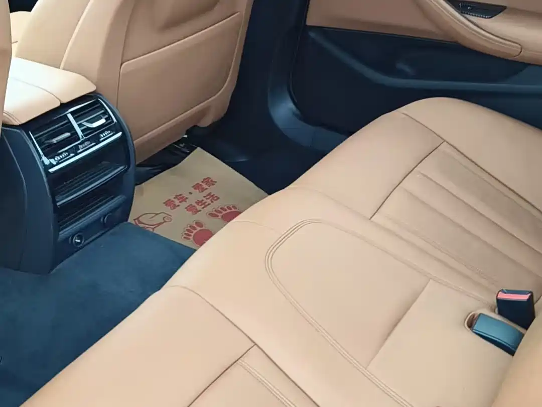 BMW 5 Series 2018 528Li Launch Special Edition фото 5