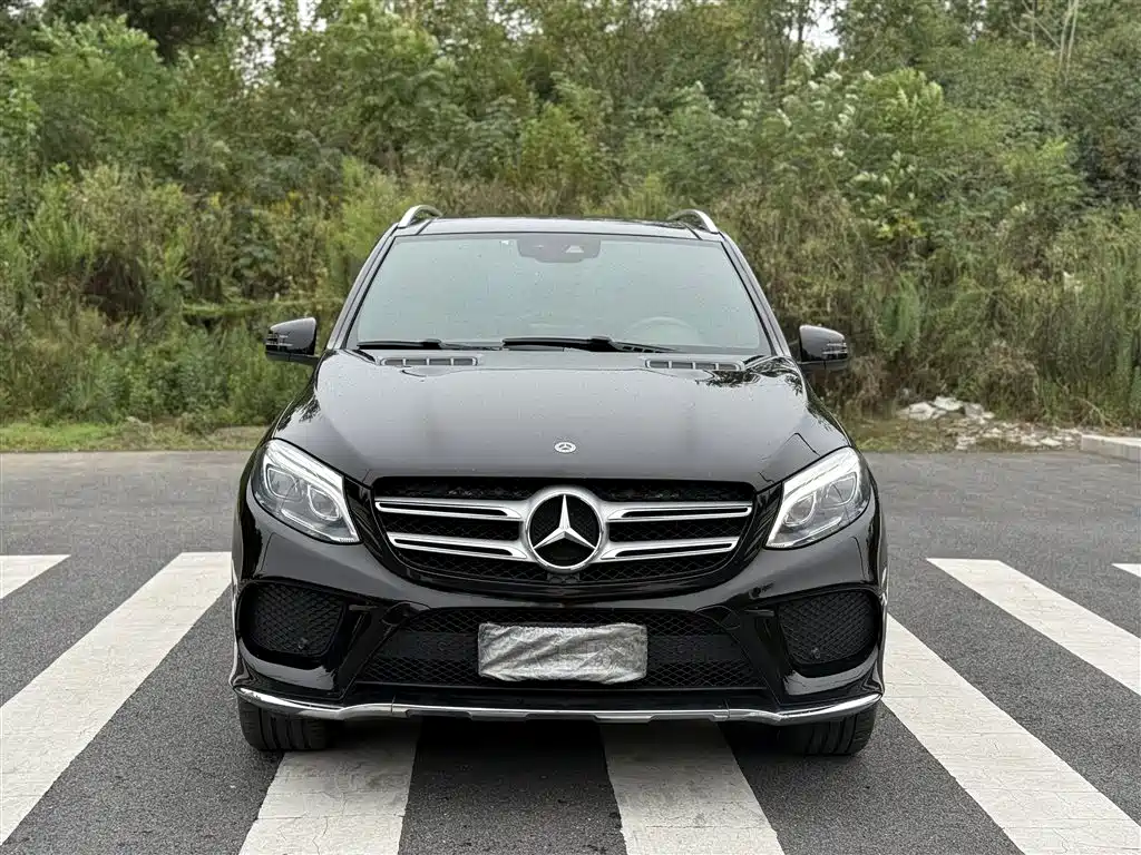 Mercedes-Benz GLE 2017 GLE 320 4MATIC Luxury фото 2