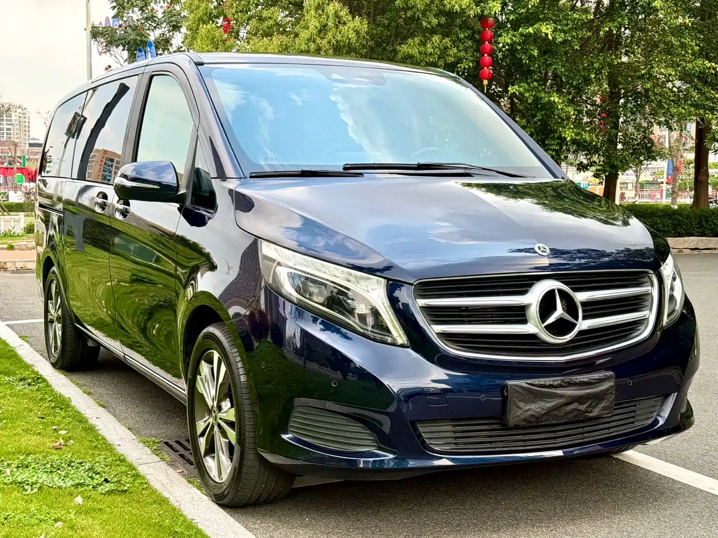 Mercedes-Benz V-Class 2018 V 260 Pilot Edition China V фото 3