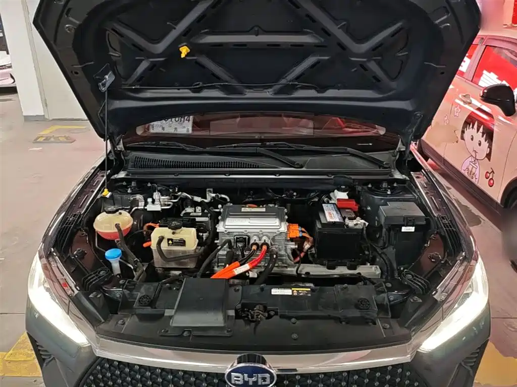 BYD e2 2021 Luxury Edition фото 20