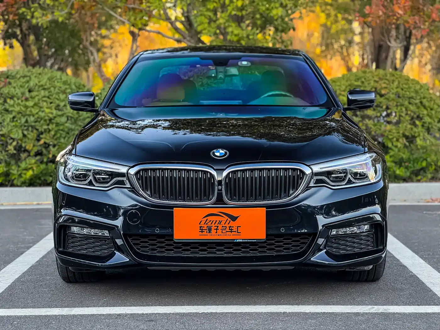 BMW 5 Series 2018 Facelift 530Li Exclusive M Sport Package фото 2