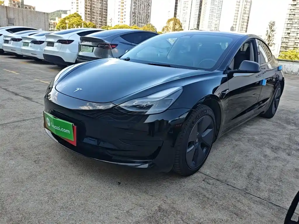 Tesla Model 3 2022 Model Rear-Wheel Drive Version