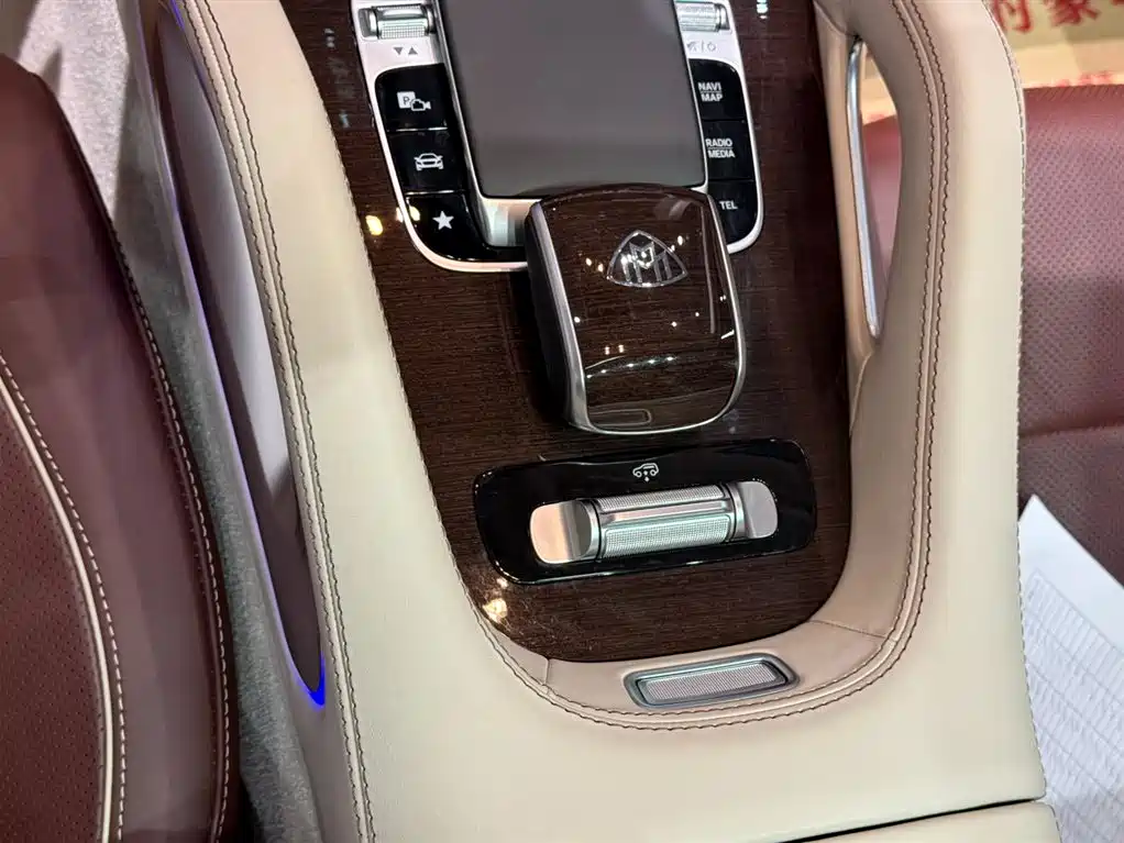 Mercedes-Benz Maybach GLS 2021 GLS 600 4MATIC Ritual Edition фото 23