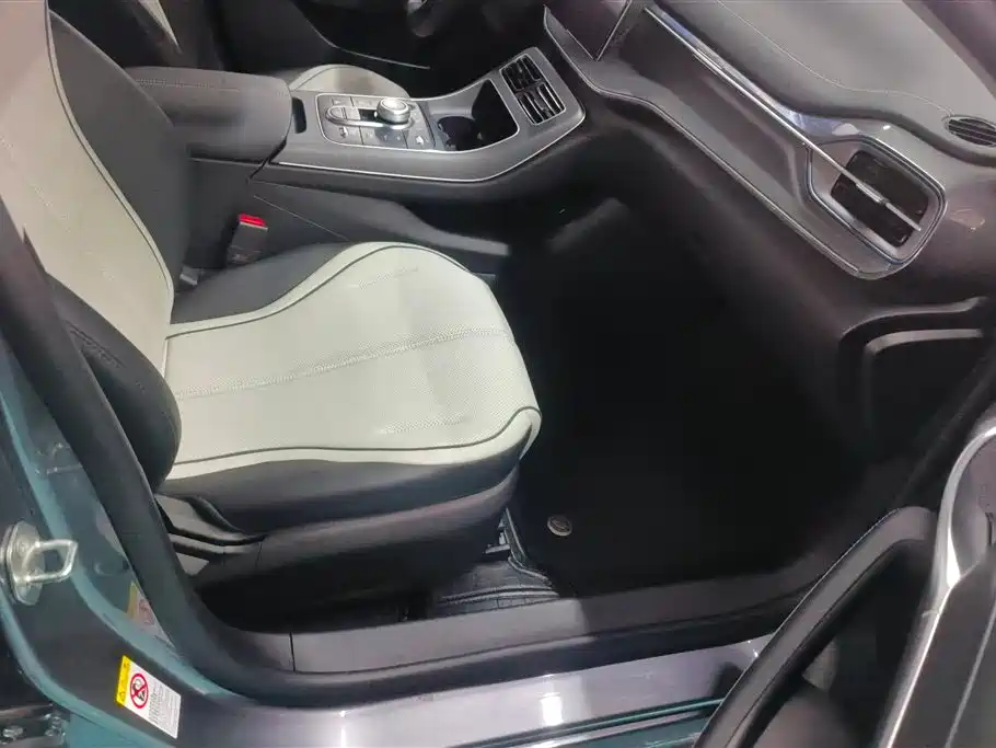 BYD Destroyer 05 2024 Glory Edition DM-i 55KM Luxury фото 8