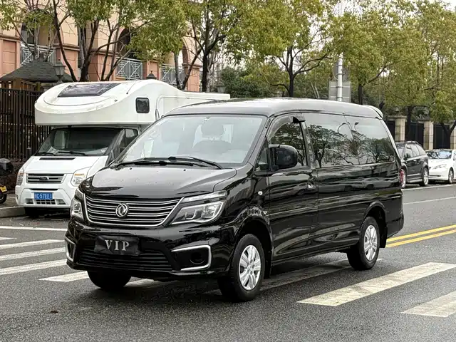 dongfeng lingzhi