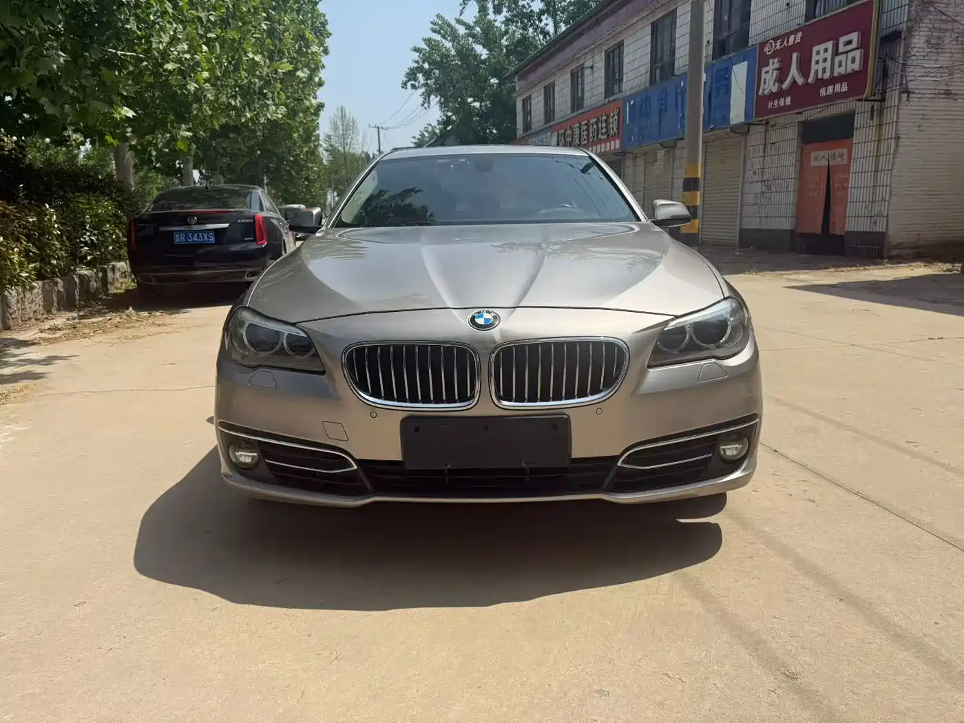 BMW 5 Series New Energy 2015 530Le фото 2