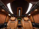 Фото 17 - Mansory V-Class