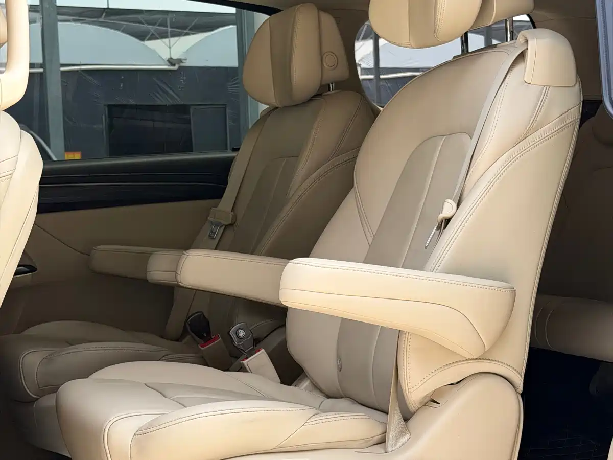 Buick GL8 2022 ES Landmark 653T Premium фото 8