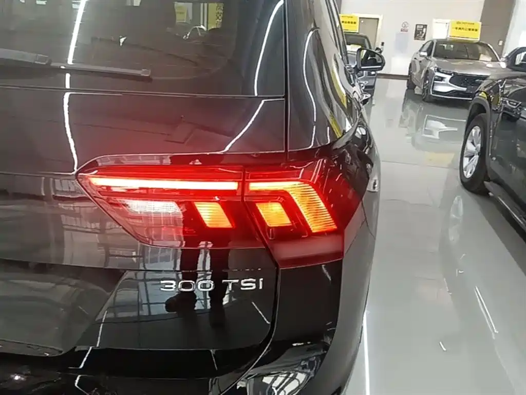 Volkswagen Tiguan L 2024 Outstanding 300TSI Auto 2WD Dragon Soaring Edition фото 8