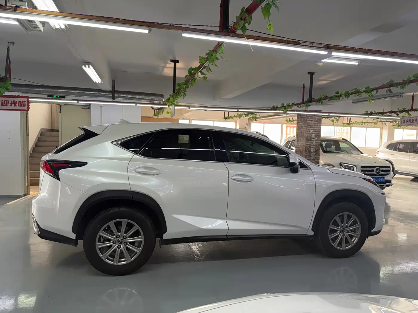 LEXUS NX