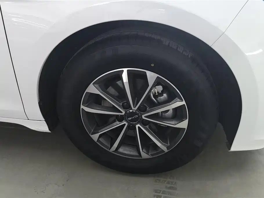 BYD Destroyer 05 2024 Glory Edition DM-i 55KM Luxury фото 6
