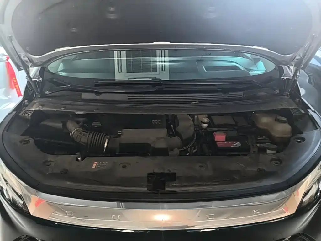 Buick Century 2023 2023 2.0T 4-Seat Private Edition