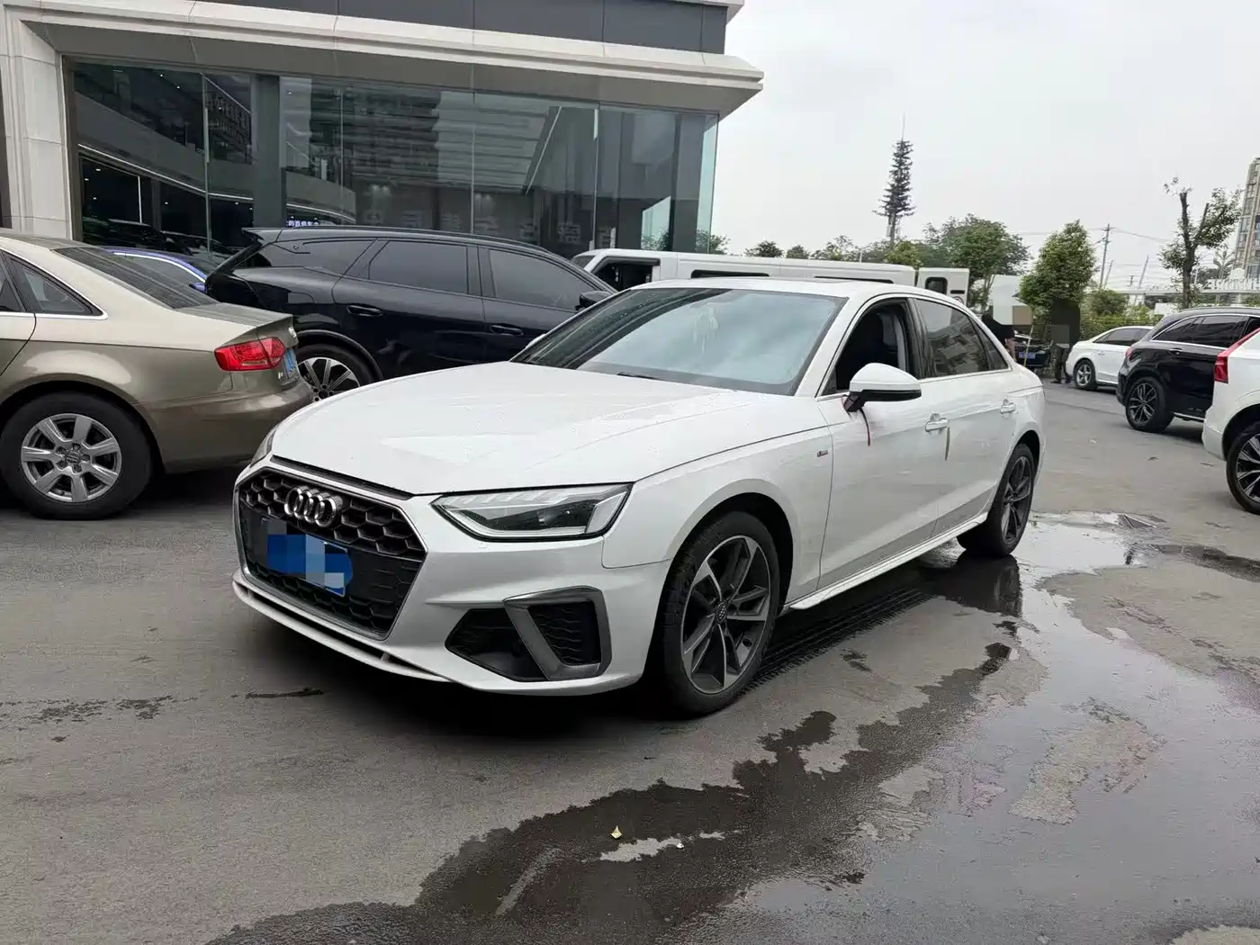 Audi A4L 2020 40 TFSI Fashion Dynamic Edition