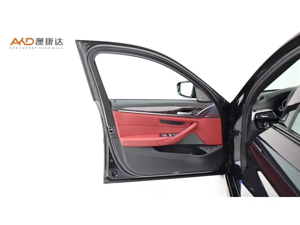 BMW 5 Series 2019 Facelift 530Li Premium M Sport Package фото 10