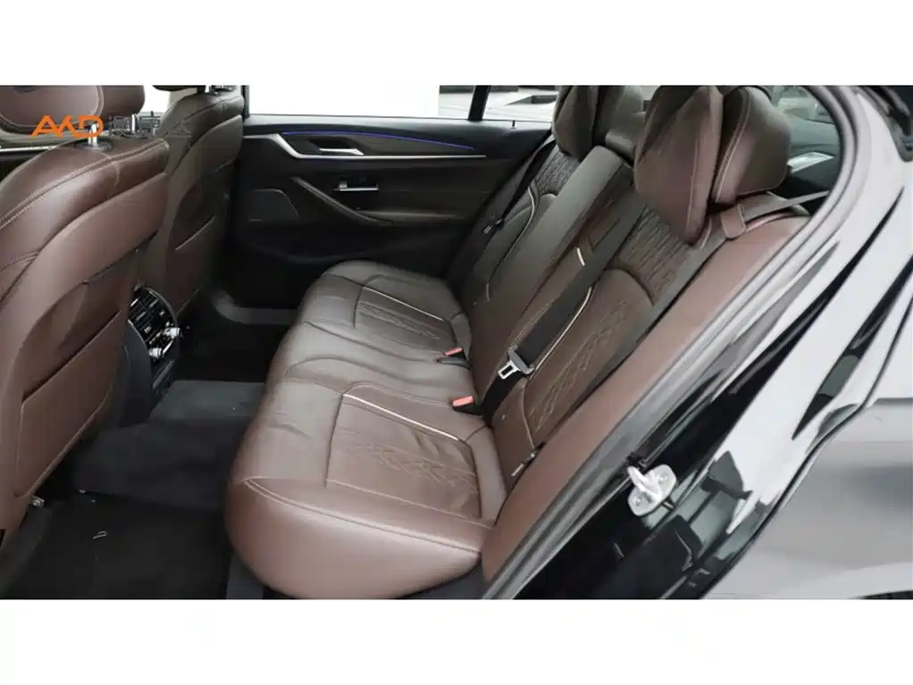 BMW 5 Series 2019 Facelift 530Li Premium Luxury Package фото 7