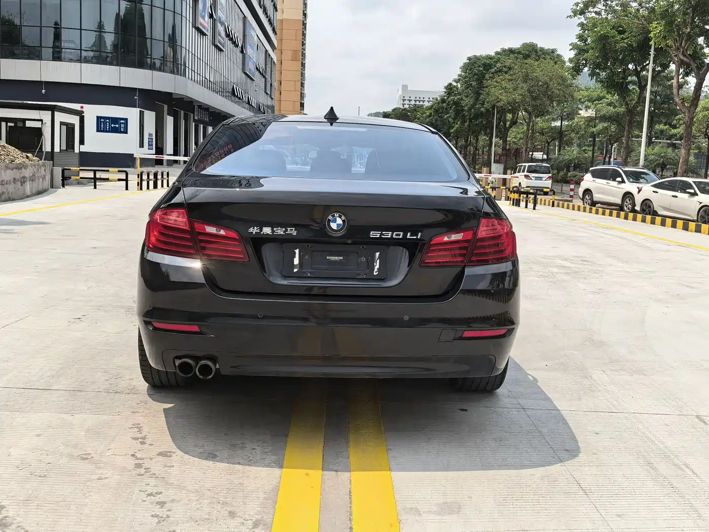 BMW 5 Series 2014 530Li Leading фото 8