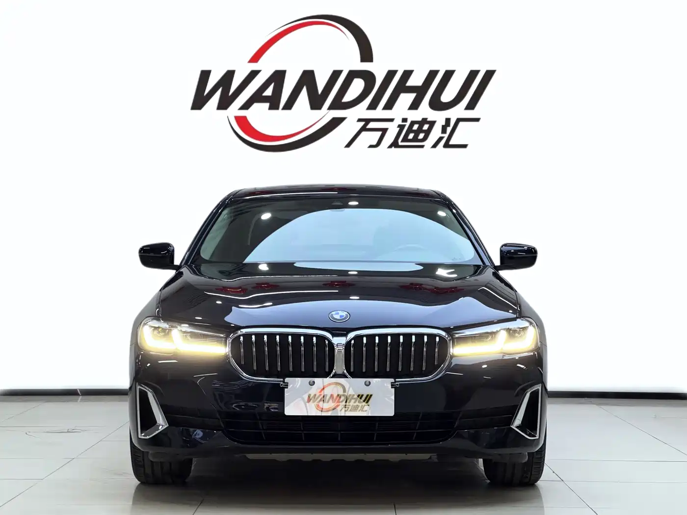 BMW 5 Series 2021 530Li Leading Luxury Package фото 2