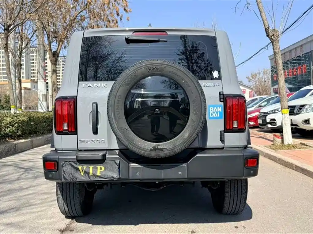 Tank 300 2023 Off-Road Edition 2.0T Conqueror фото 4