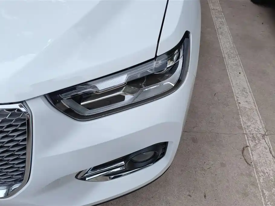 Haval H2s 2018 Red Label 1.5T DCT Luxury Model фото 5