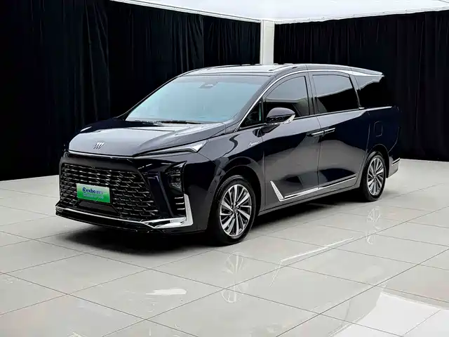 Buick GL8 Люкс, Luxury Enjoy