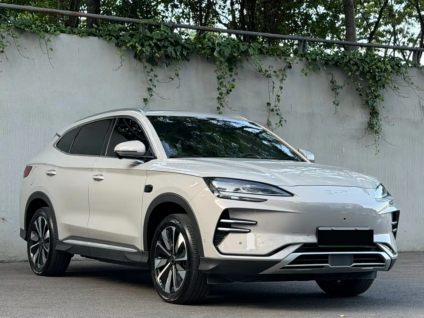 BYD Song PLUS PHEV 2025 EV Smart Driving Edition 520km Luxury фото 3