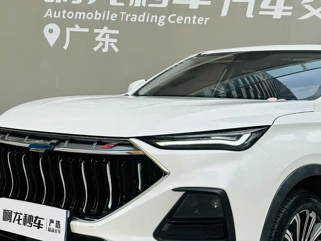 Фото 19 - Changan Oshan Changan Oushang X5