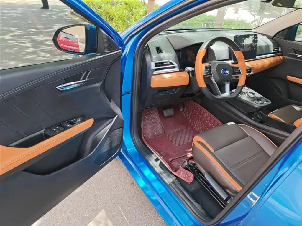 BYD e2 2021 Luxury Edition фото 16