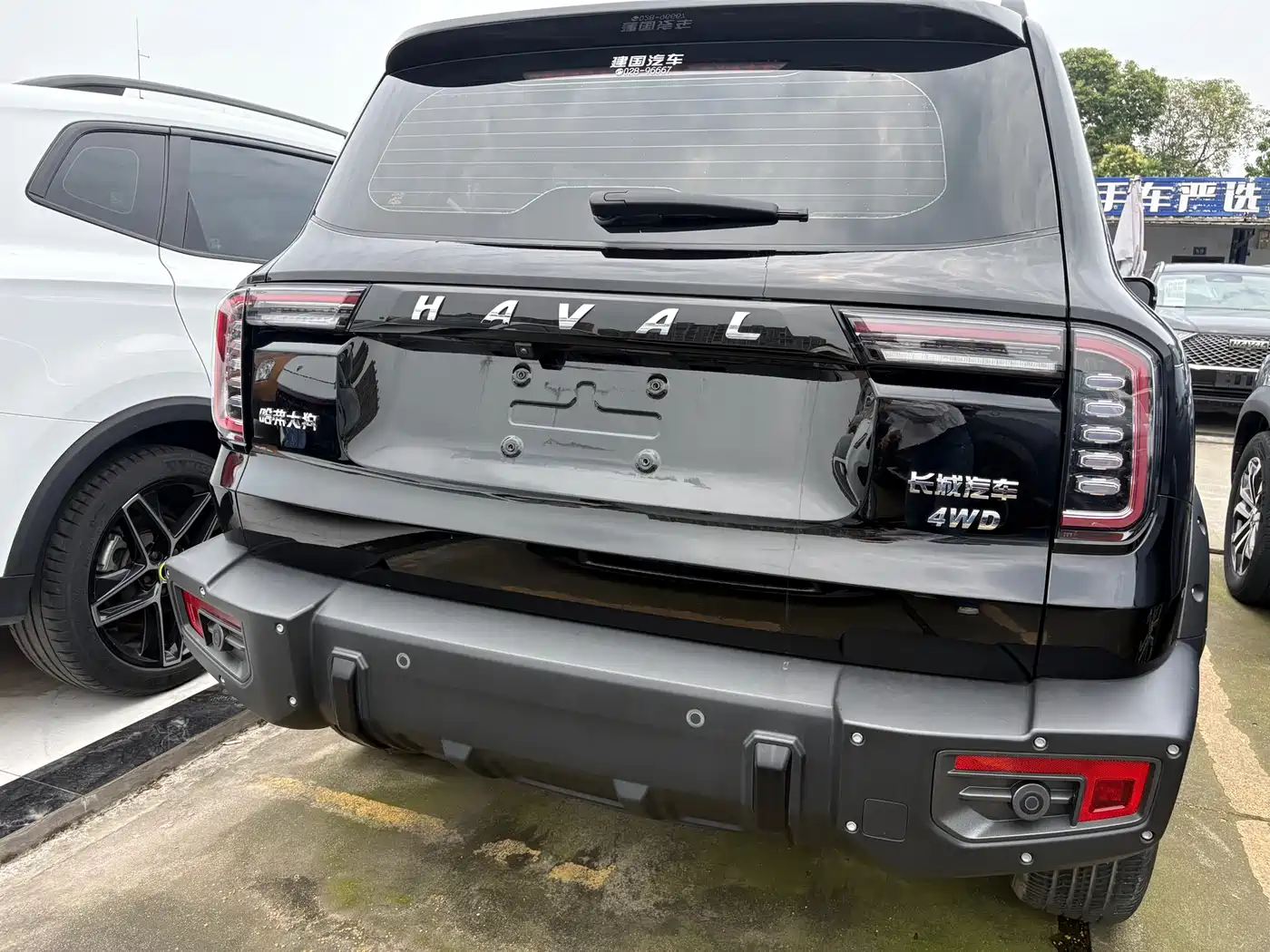Haval Big Dog 2022 2.0T DCT 4WD Chinese Rural Dog Hunting Edition фото 8