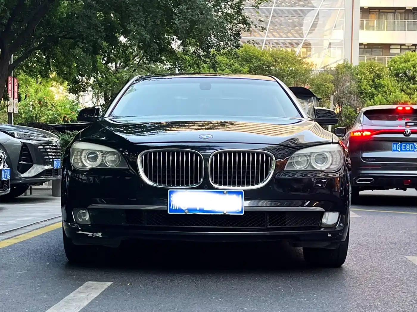 BMW 7 Series 2009 730Li Leading фото 2