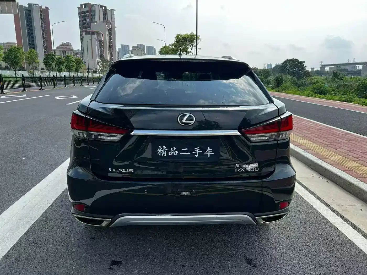 LEXUS RX