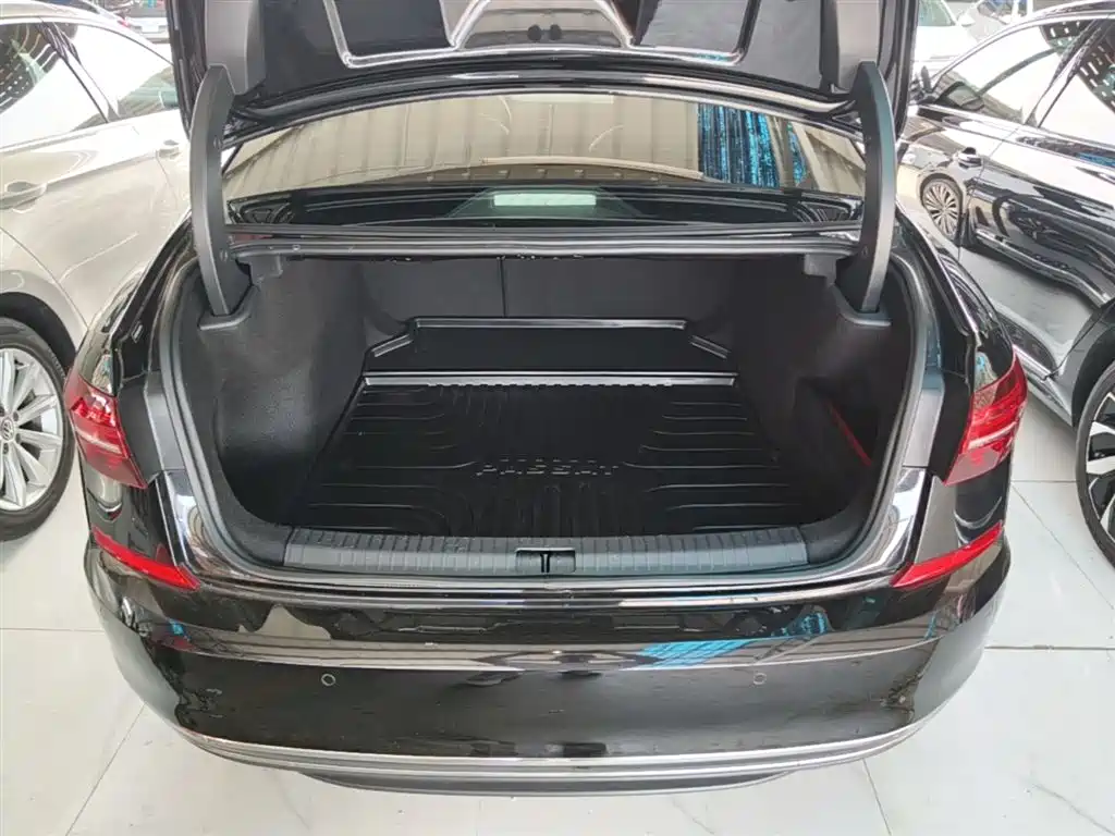 Volkswagen Passat 2019 330TSI Luxury Edition China VI фото 19