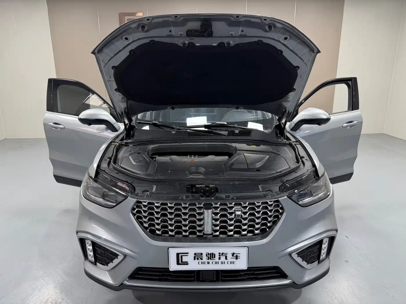 WEI PAI WEI BRAND VV5