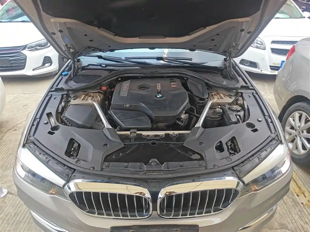 BMW 5 Series 2018 Facelift 530Li Leading Luxury Package фото 20