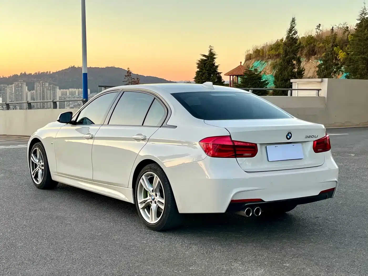 BMW 3 Series 2019 320Li M Sport Package фото 9
