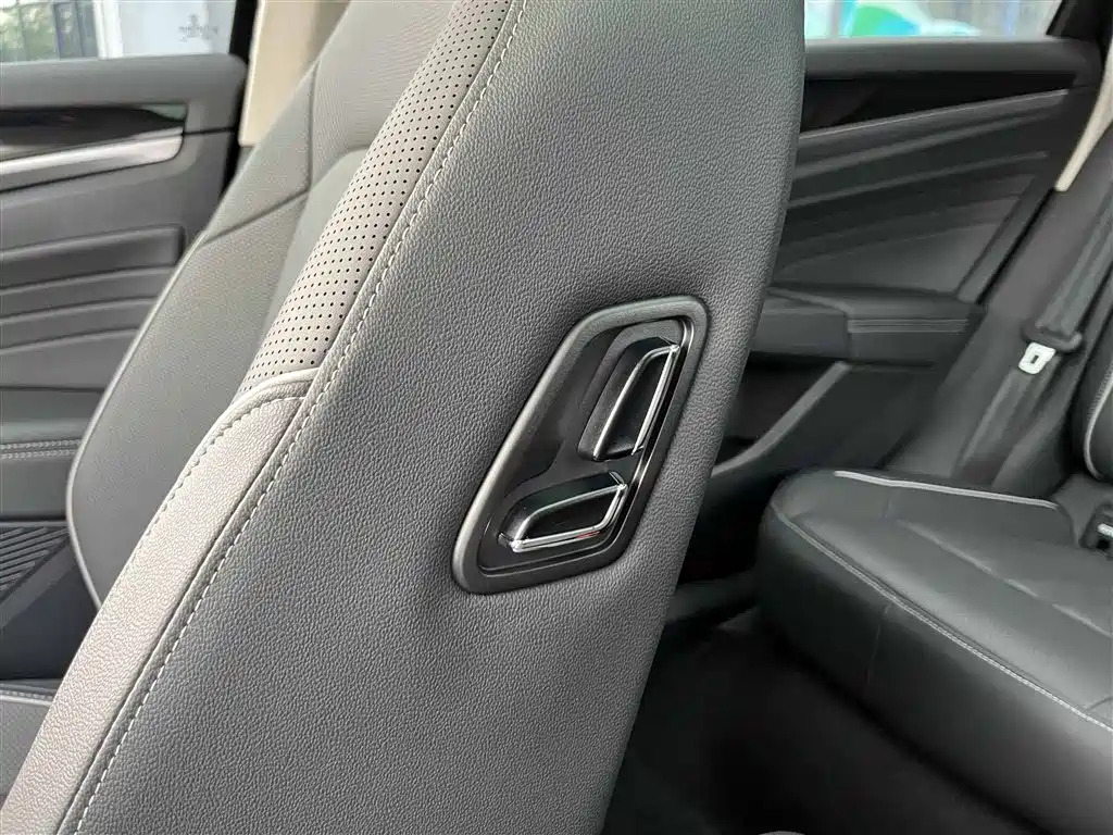 Volkswagen Passat 2024 380TSI Starlight Dragon Soaring Edition фото 27