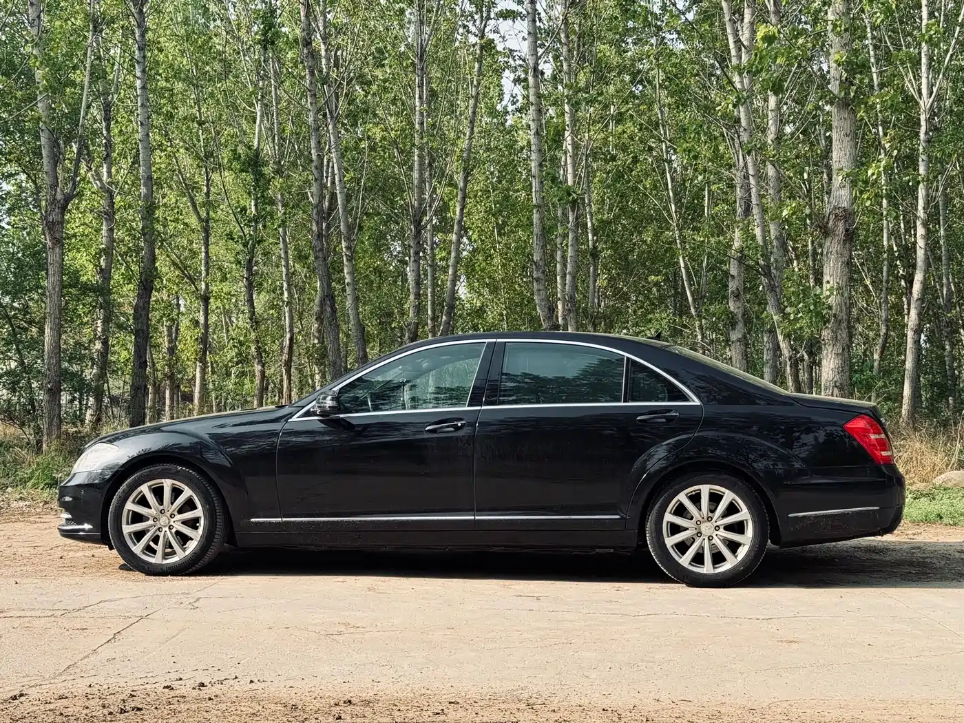 Mercedes-Benz S-Class 2010 S 300 L Premium фото 2
