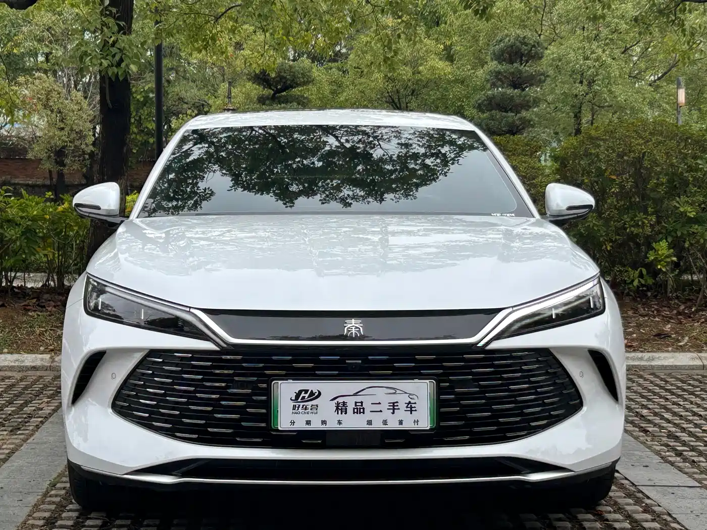 BYD QIN L