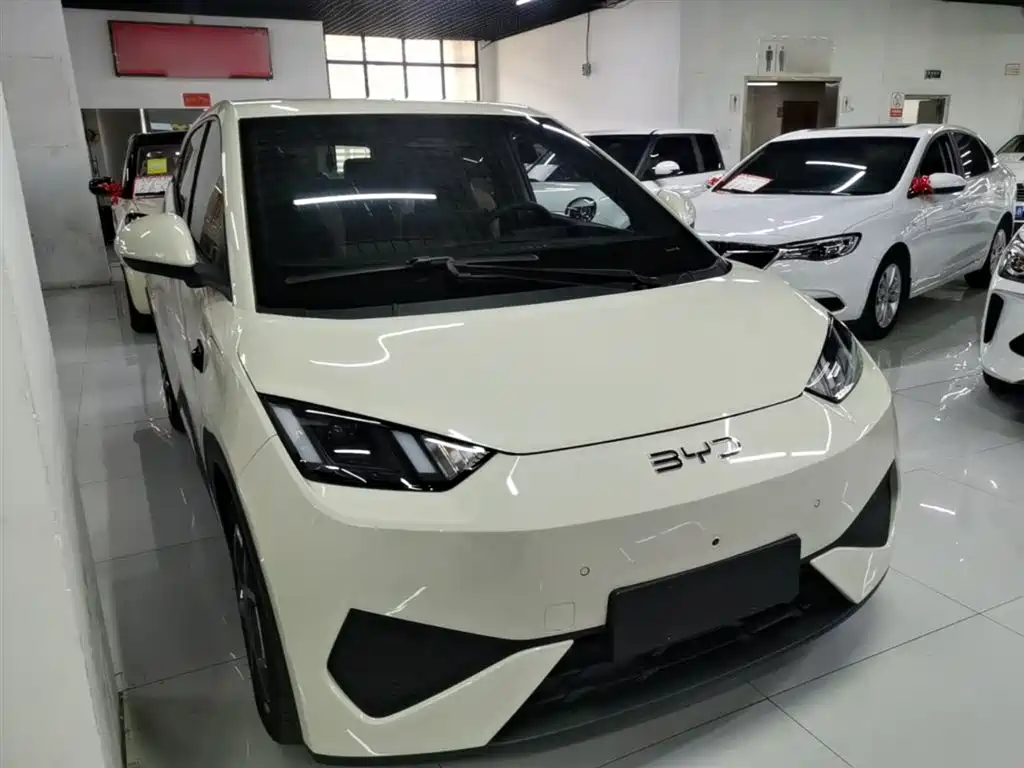BYD Seagull 2025 Smart Drive Edition 305km Freedom Version фото 4