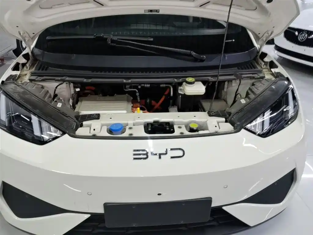 BYD Seagull 2025 Smart Drive Edition 305km Freedom Version фото 20