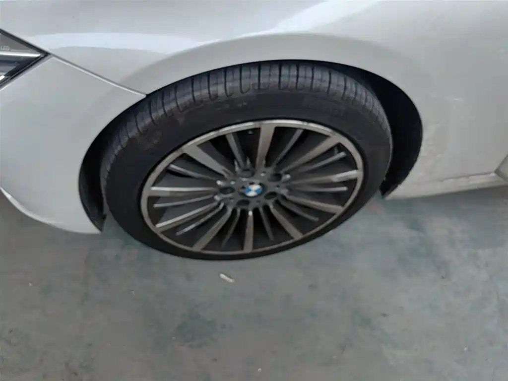 BMW 3 Series 2019 320Li Fashion Type фото 23