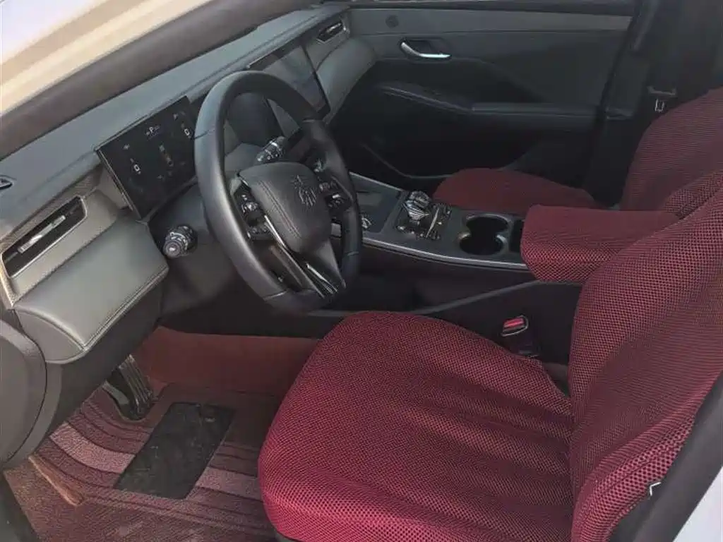BYD Qin PLUS 2025 DM-i Smart Drive 55KM Leader фото 12