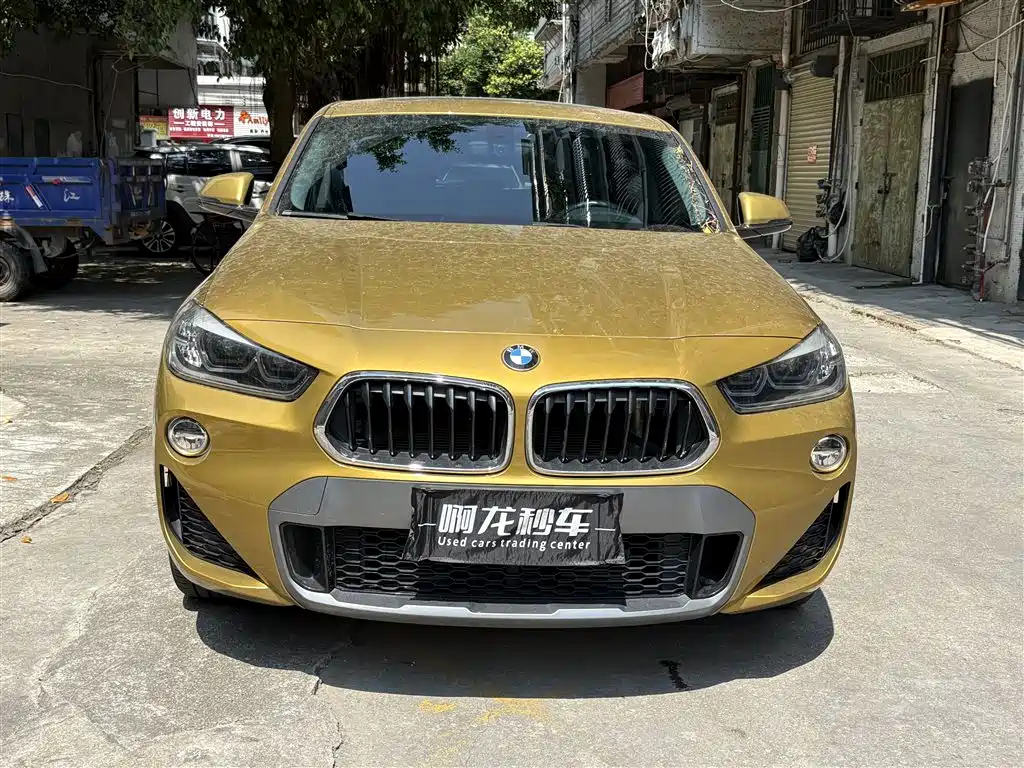 BMW X2 (Import) 2019 sDrive20i M Off-Road Package China VI фото 2