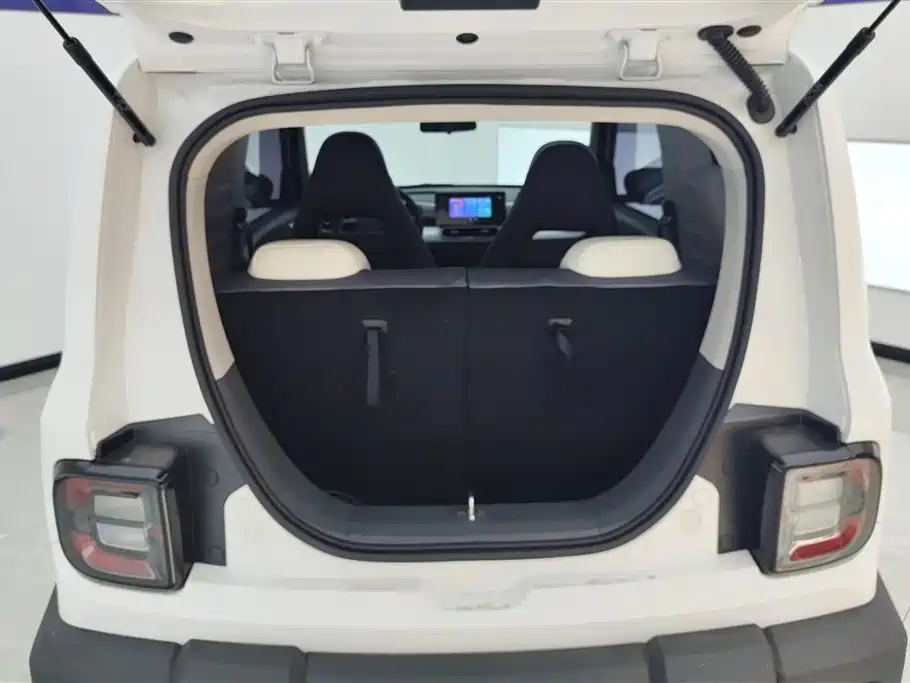 Фото 4 - Geely Galaxy Panda
